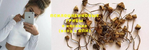 соль ск Абдулино