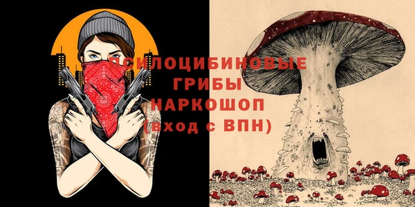 соль ск Абдулино