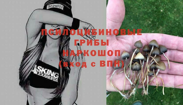 соль ск Абдулино