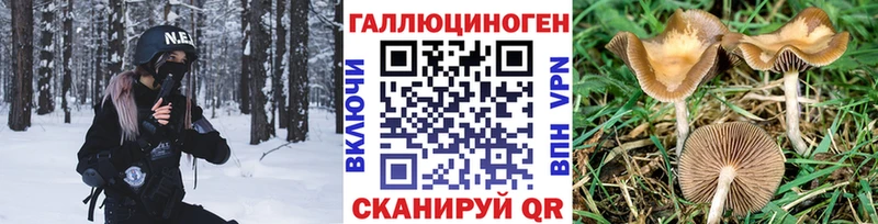 купить наркоту  Лиски  Галлюциногенные грибы прущие грибы 